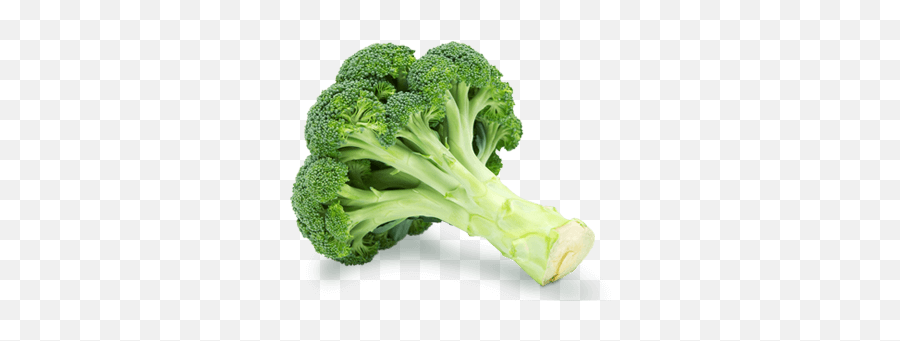 Where We Work - Morrisons Farming Broccoli Is A Man Made Vegetable Png,Brocolli Png