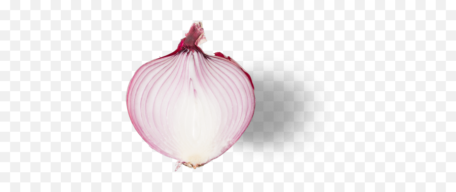 Chipotle - Red Onion Red Onion Png,Onion Transparent