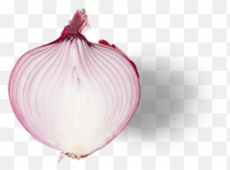 Chipotle - Red Onion png