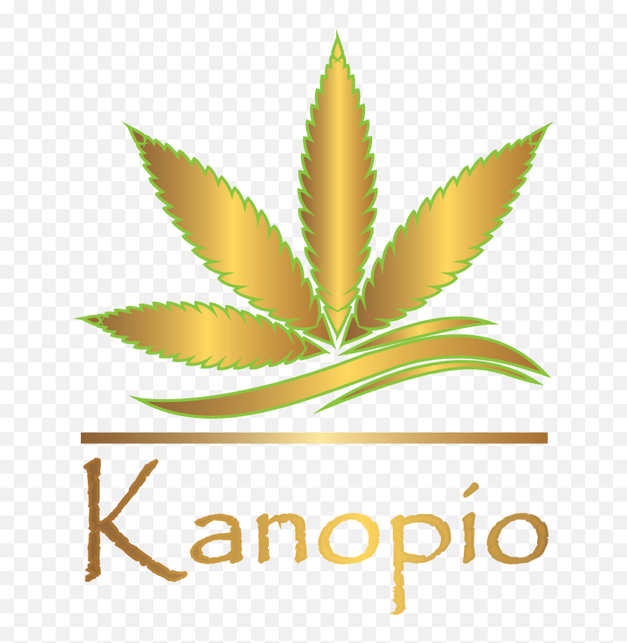 Terms U0026 Conditions U2013 Kanopio Trade Sro Png Divergent Logos