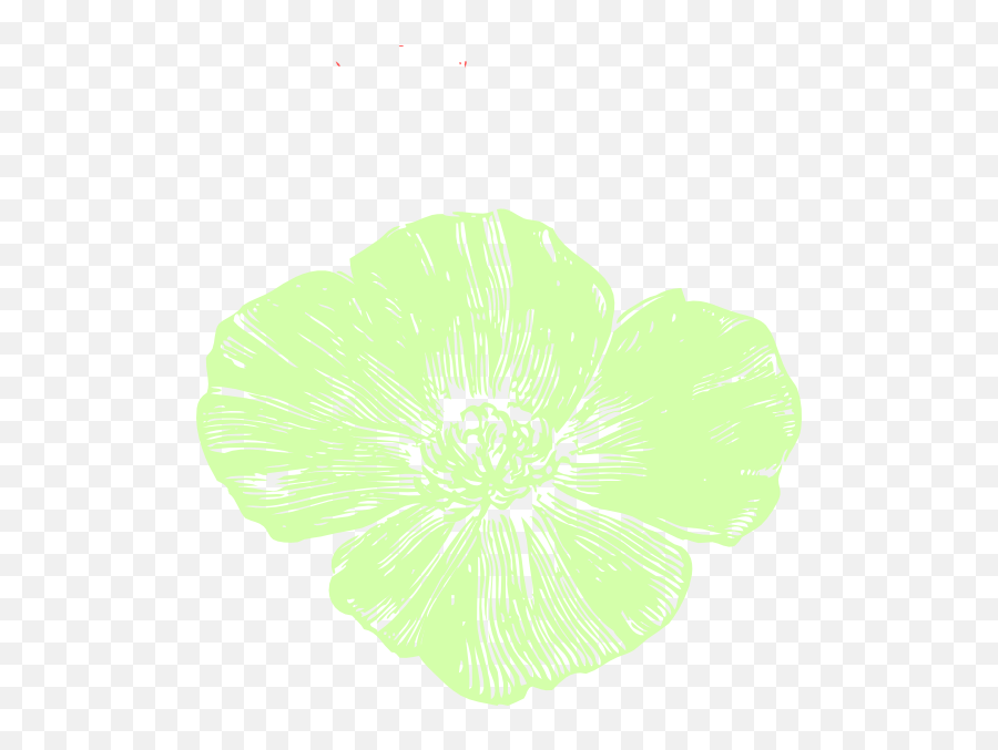 Celery Poppy Png Clip Arts For Web - Clip Arts Free Png California Poppy,Celery Png
