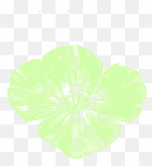 Celery Poppy Png Clip Arts For Web - Clip Arts Free Png California Poppy,Celery Png