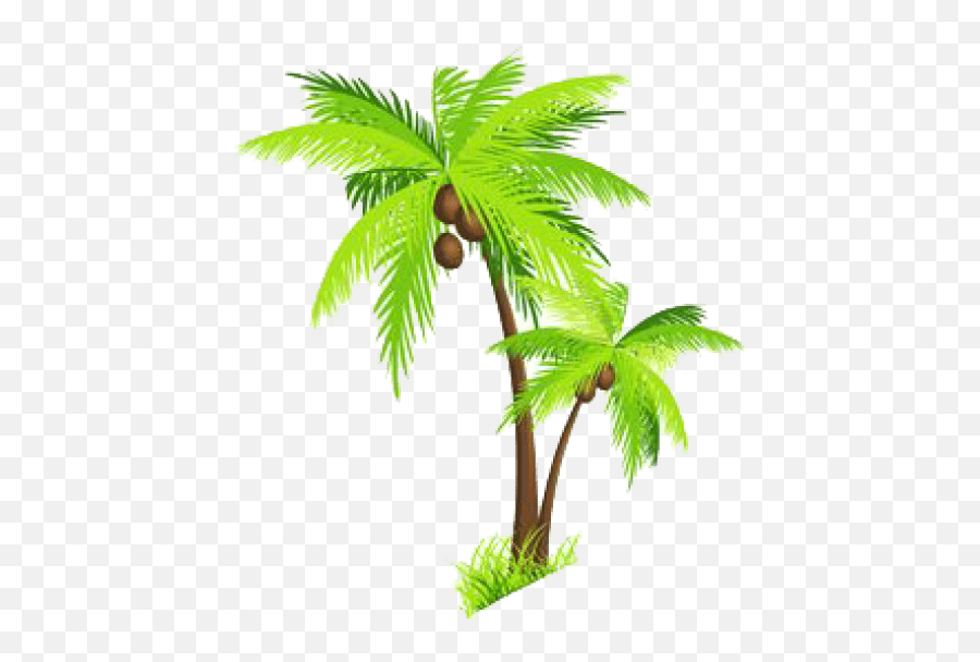 Palm Tree Png Images Transparent - Transparent Background Coconut Tree Clipart,Palm Trees Transparent