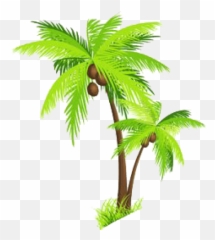 Palm Tree Png Images Transparent - Background Coconut Clipart