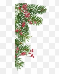 Enchanted Christmas - GreenWood Family Park Tree png