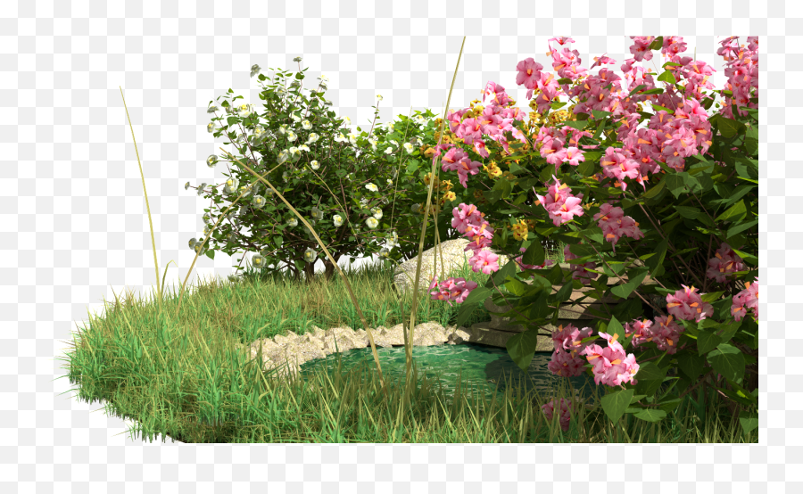 Alpine Hill - Scene Contains Bushes Flowers Rocks Water Fountain And Grass Rosa Wichuraiana Png,Flower Bush Png