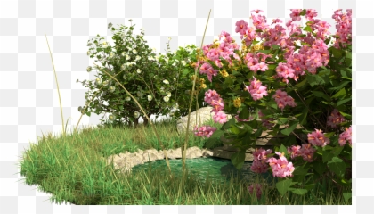 Alpine Hill - scene contains bushes flowers rocks water fountain and grass Rosa Wichuraiana png