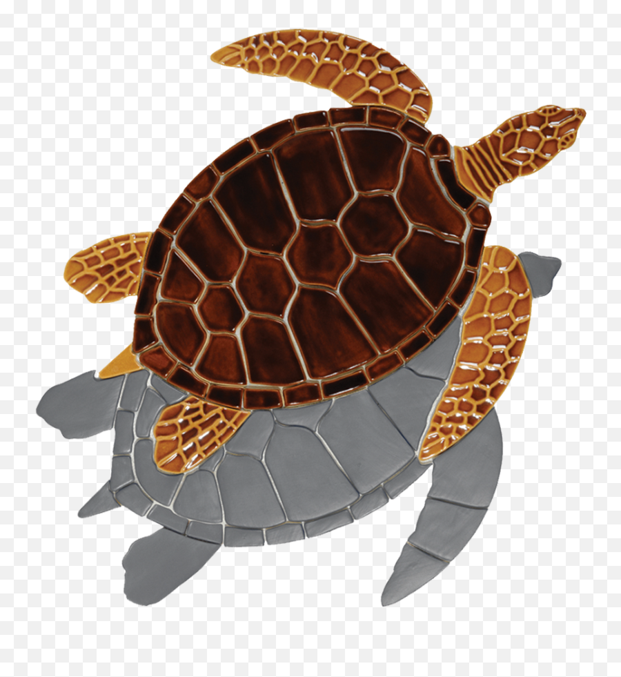 Gt7b Brown Sea Turtle Copy - Sea Turtle Transparent Large Turtle Mosaic Png,Turtle Transparent