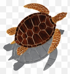 Gt7b Brown Sea Turtle Copy - Sea Turtle Transparent Large Turtle Mosaic Png,Turtle Transparent