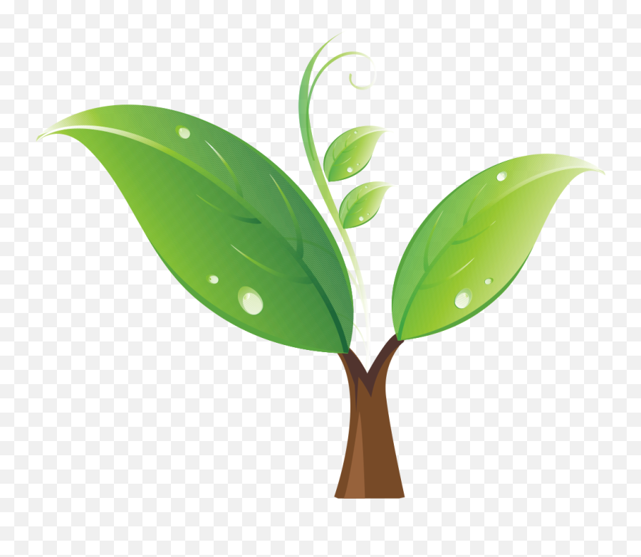 Seedling Tree Clip Art - Sapling Clipart Png,Sprout Png