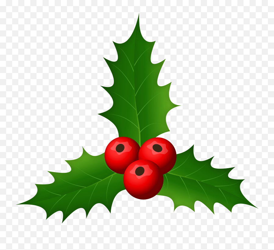 Holly Mistletoe Christmas Png Clipart