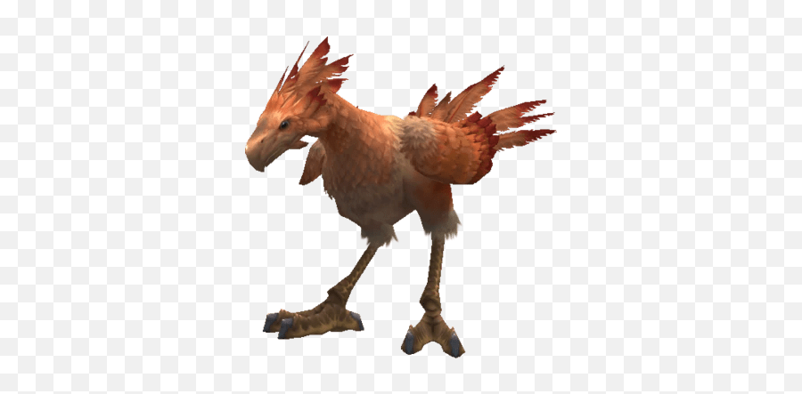 Red Chocobo - Level 99 Red Chocobo Png,Chocobo Png