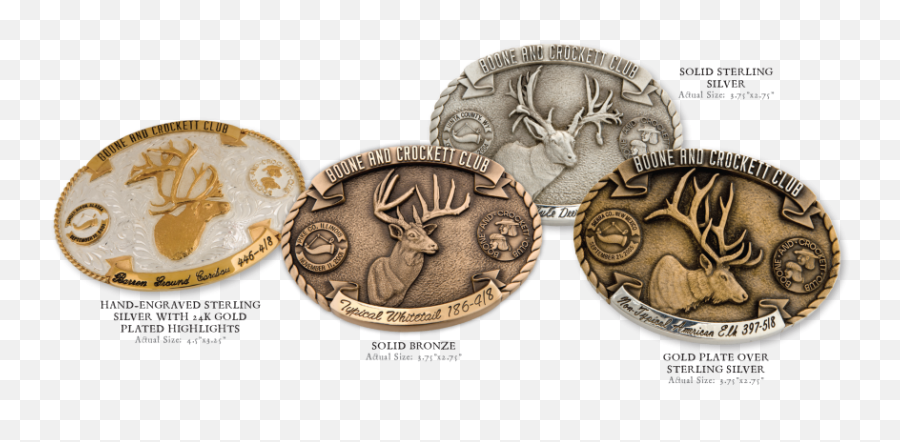 Trophy Recognition Belt Buckles Boone And Crockett Club - Coin Png,Buckle Png