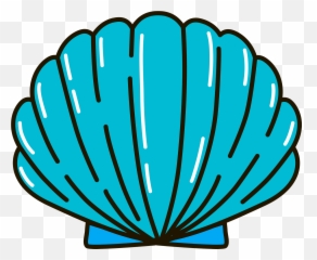 Seashell Clipart - Decorative png