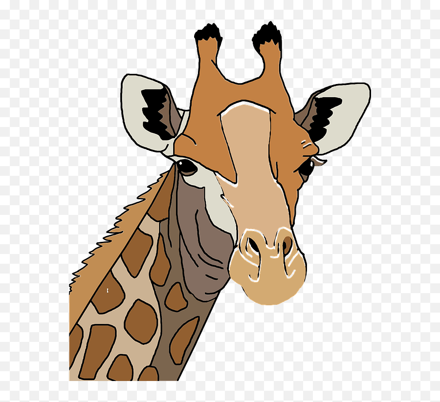 Giraffe Head Clipart - Giraffe Head Clip Art Png,Head Transparent