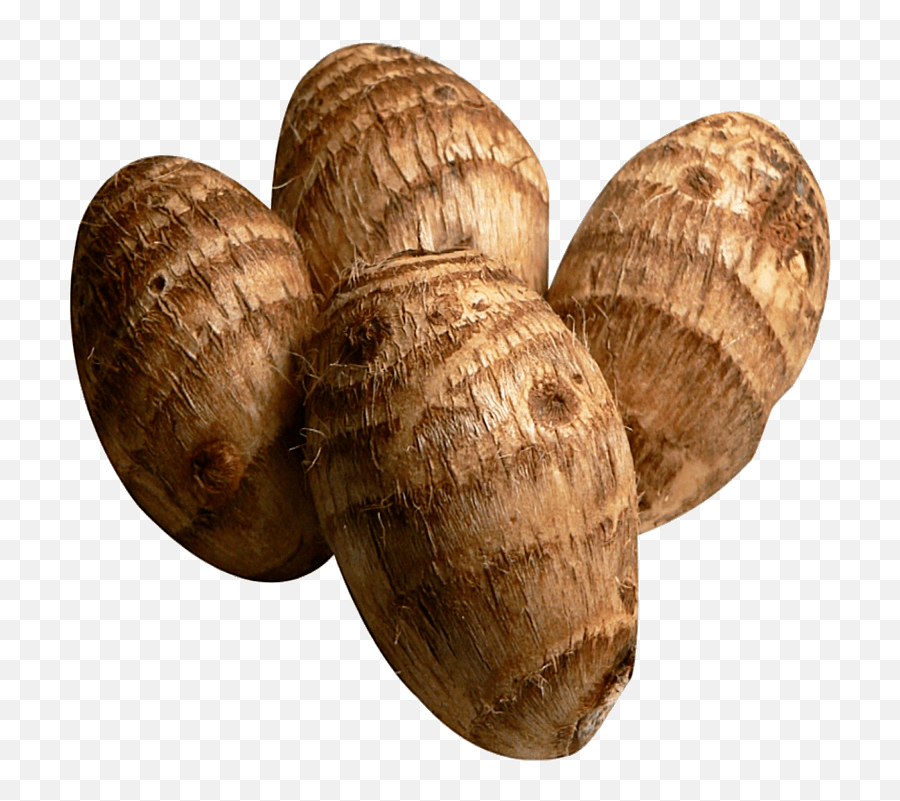 Coco Yam - Bibi Groceries Taro Png,Yam Png