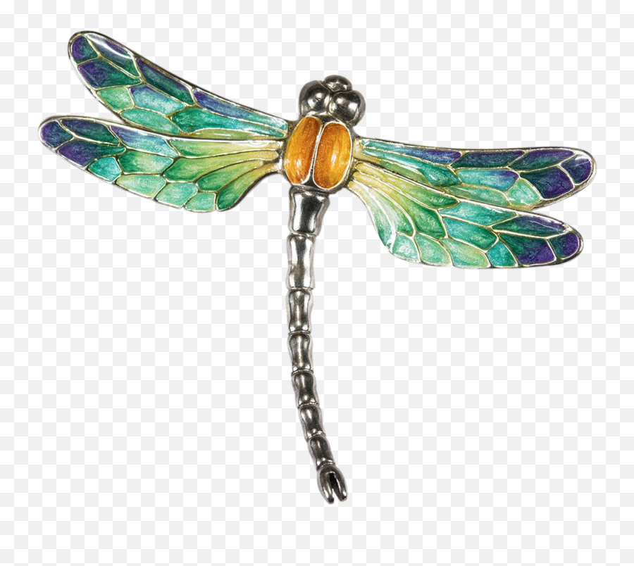 Dragonfly Transparent Png Image - Transparent Background Dragonfly Clip Art,Dragonfly Icon