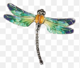 Dragonfly Transparent Png Image - Background Clip Art