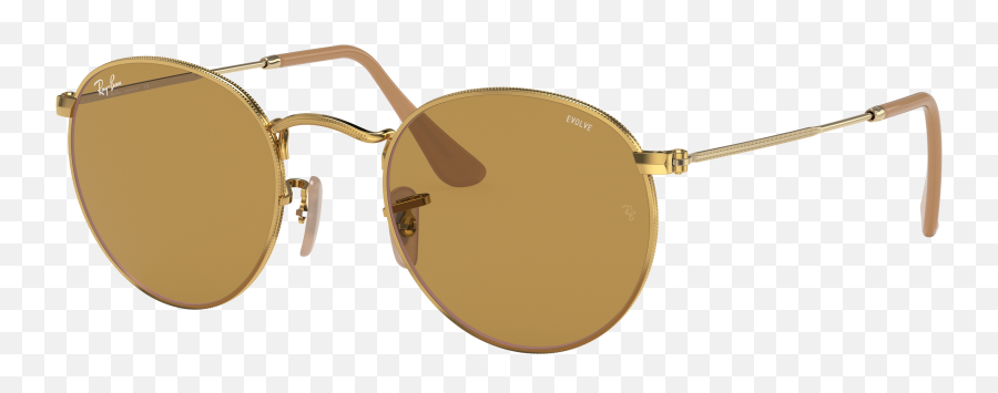 Ray - Ray Ban Round Metal Gold Brown Png,Ray Ban Round Icon