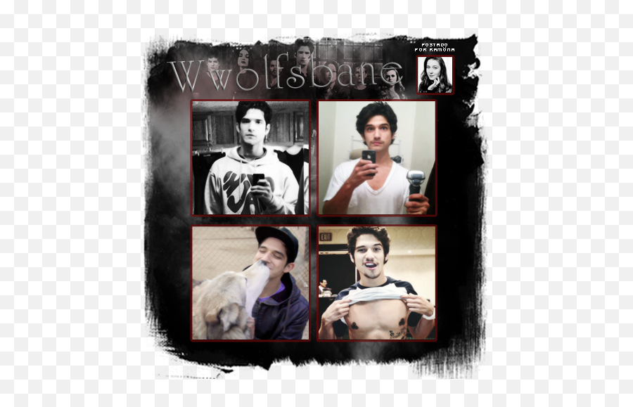 Likes - Photographic Paper Png,Tyler Posey Gif Icon