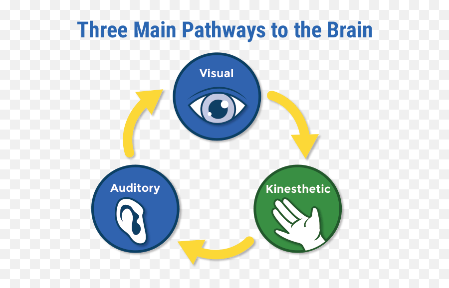 Dmit Learning Style - Three Main Pathways To The Brain Png,Kinesthetic Icon