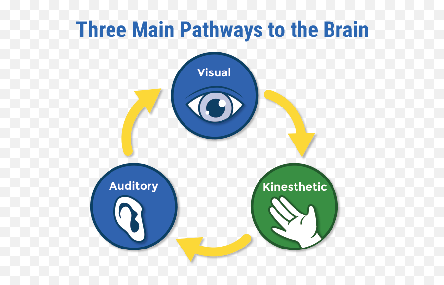 Main 3. Visual auditory kinesthetic. Kinesthetic Learners. Kinesthetic Visual Learner. Visual Learners auditory Learners.