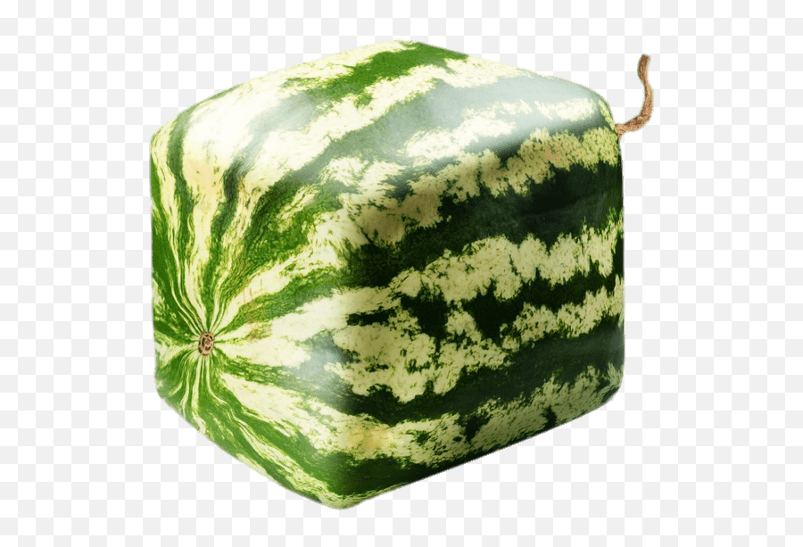 Square Watermelon Transparent Png - Stickpng Cut Square Watermelon,Square Pattern Png
