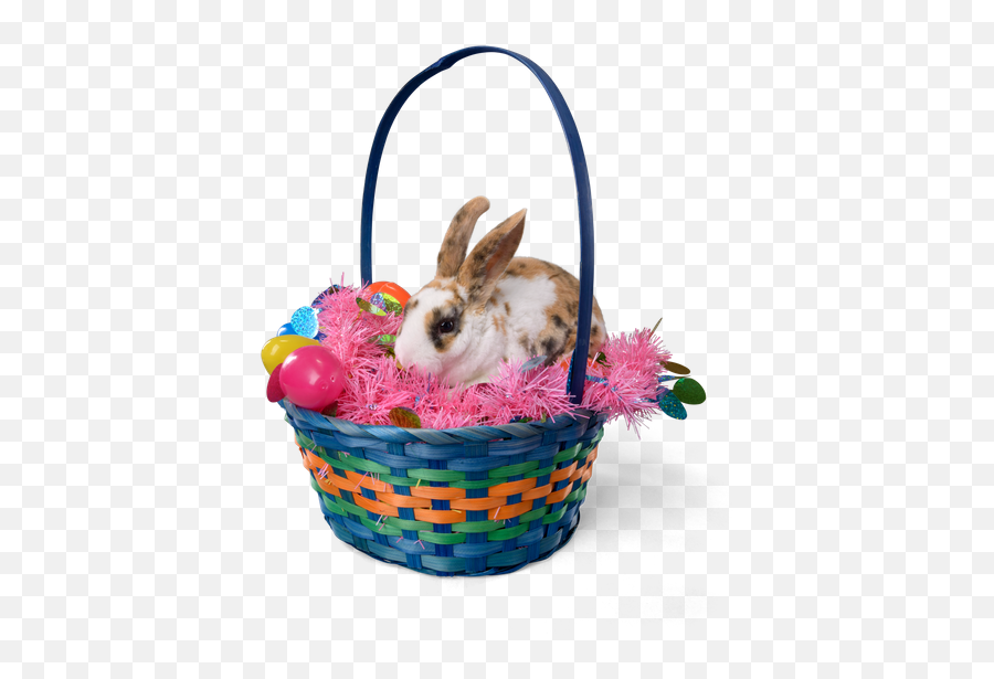 Easter Bunny And Basket Of Eggs - Photos By Canva Domestic Rabbit Png,Easter Basket Transparent