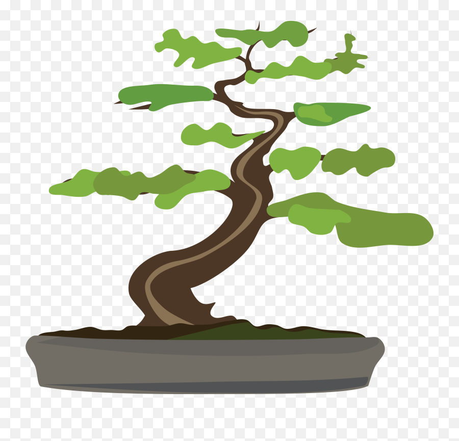 Bonsai Tree Clipart - Bonsai Tree Png Clipart,Bonsai Tree Png