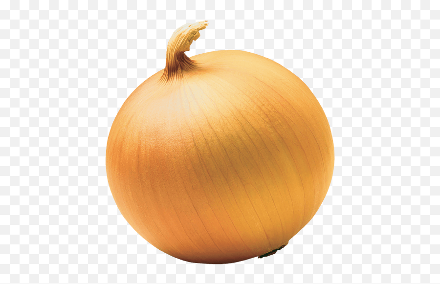 Png Image Download Picture Hq - Top Of An Onion,Onion Png