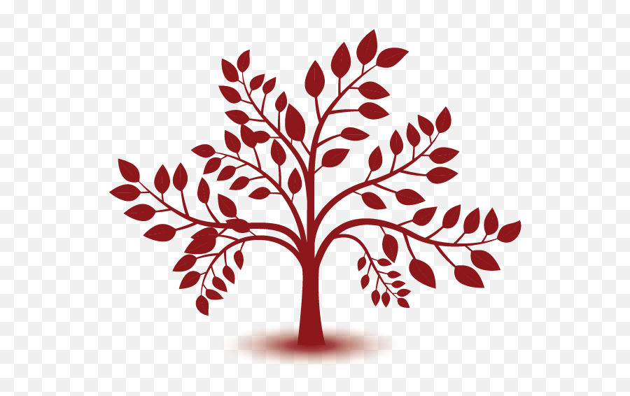 What We Offer - Ancestor Discovery Family Tree On Wall Png,Ancestry Icon