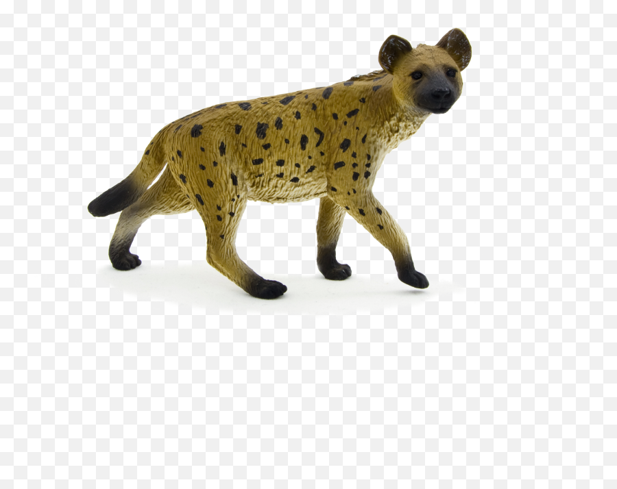 Hyena Png Image Background - Hyena Mojo,Hyena Png