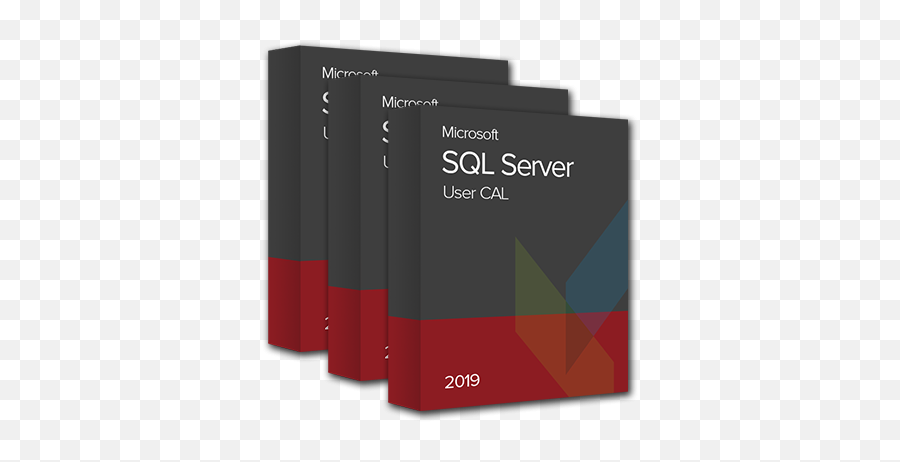 Microsoft Sql Server 2019 - Forscopeeu Vertical Png,Pl Sql Developer Icon