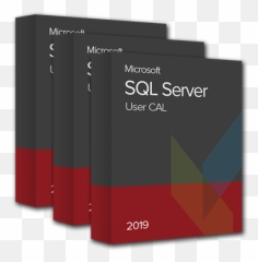 Sql Online Test Testdome - Dot Png,Pl Sql Developer Icon - free ...