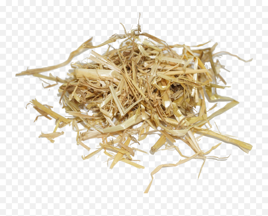 Barley Straw Mulch - Barley Straw Transparent Png,Hay Png