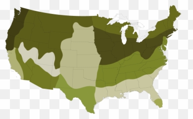 Grass Seeds Best U0026 Lawn Natureu0027s - Usa Map Vector png