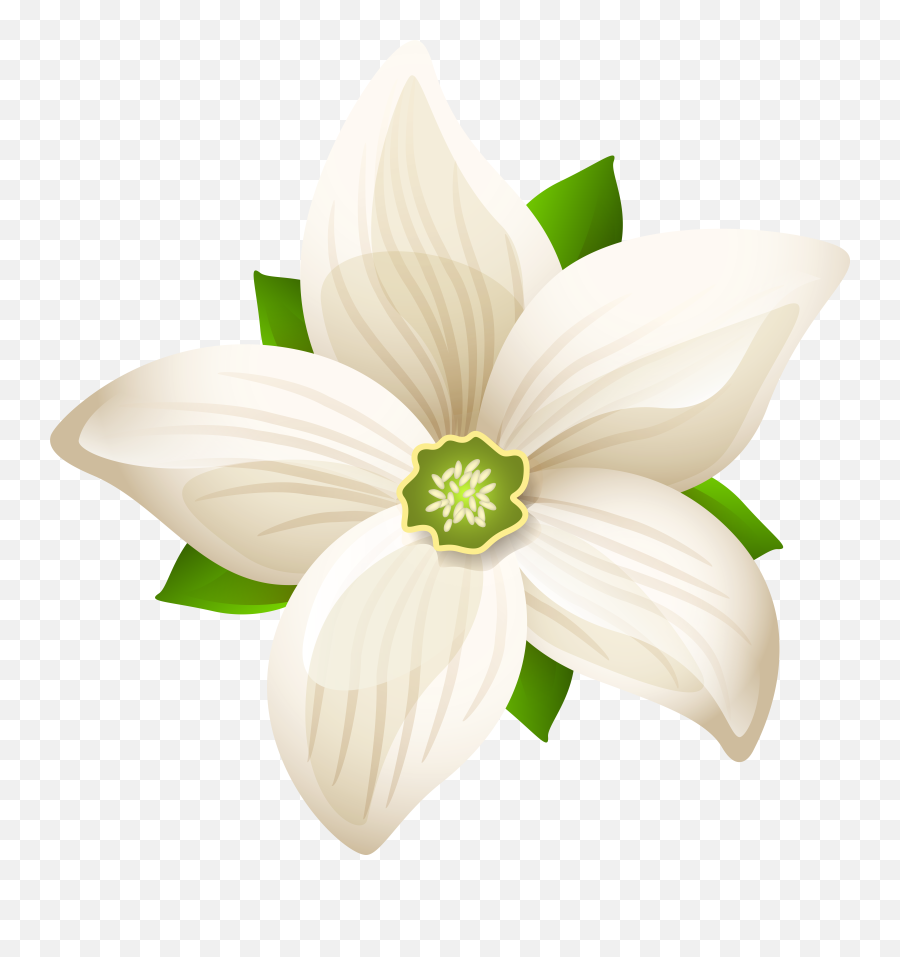 White Flower Art Png