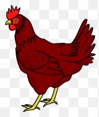 Download Little Red Hen Clipart - Image Of Chicken png