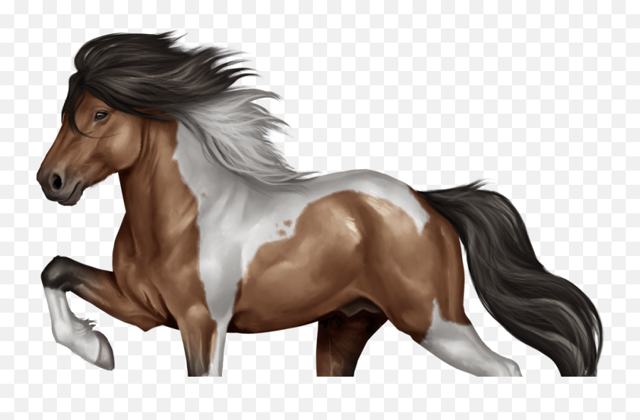 Home - Horse Reality Horse Reality Png,Horses Png