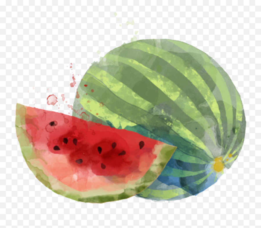 Download Hd Smoothie Watercolor Painting Auglis Watermelon - Fruta Watercolour Png,Watermelon Transparent