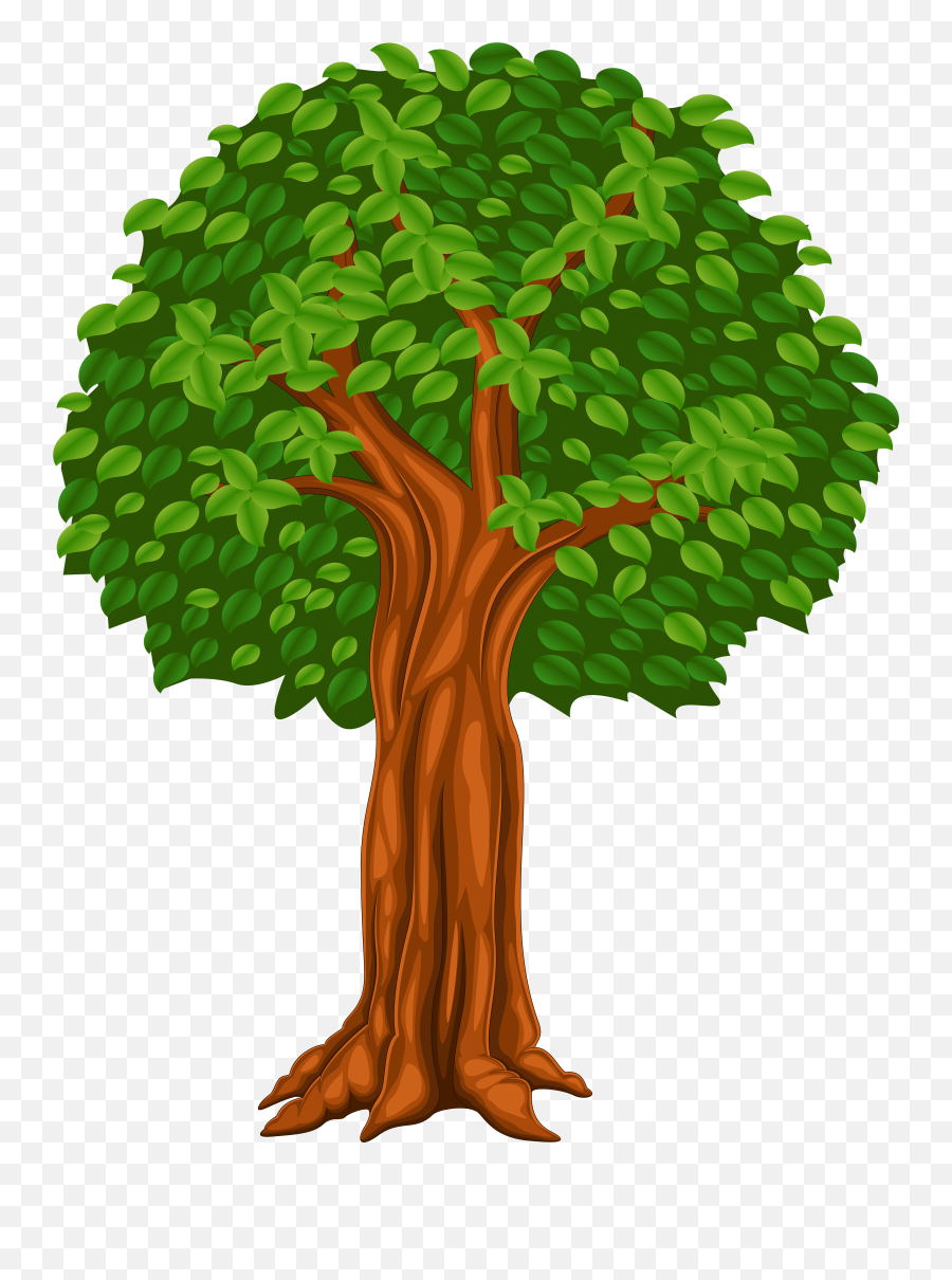 Tree Illustration Png Image - Transparent Tree Cartoon Png,Trees Background Png