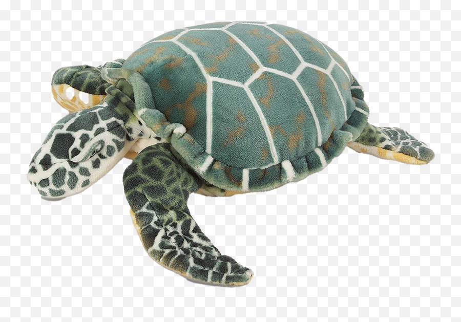 Turtle Transparent Images Png Play - Peluche Tortue De Mer,Turtle Transparent