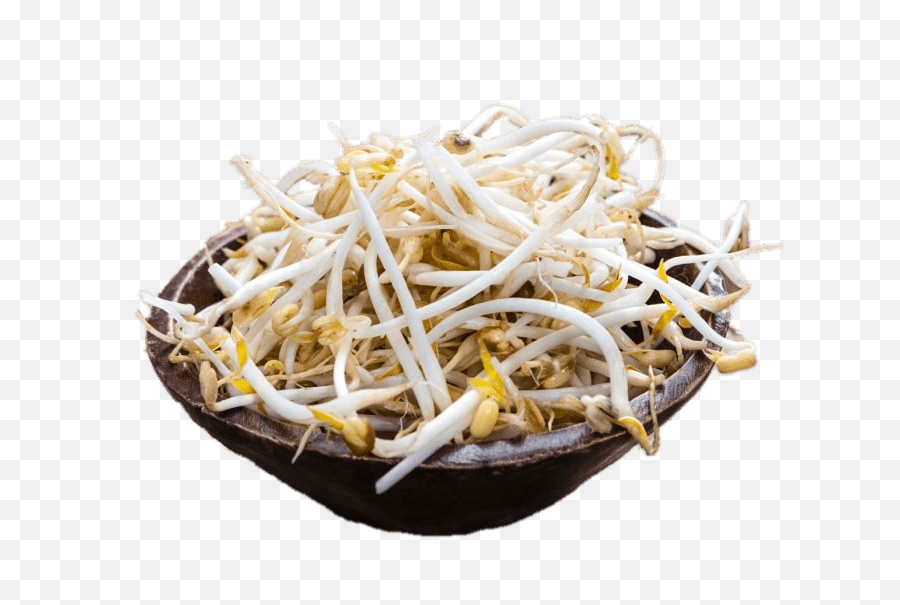 Bowl Of Soybean Sprouts Transparent Png - Transparent Bean Sprouts Png,Sprout Png