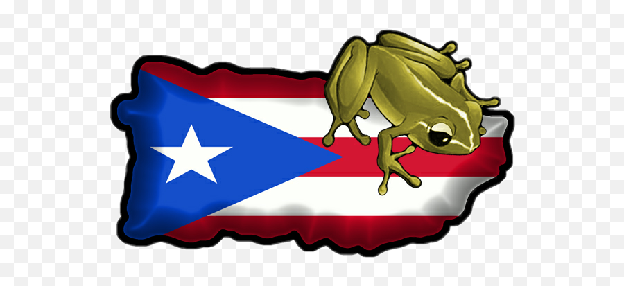 Largest Collection Of Free - Toedit Puerto Stickers On Picsart Coqui Puerto Rico Flag Png,Bandera De Puerto Rico Png