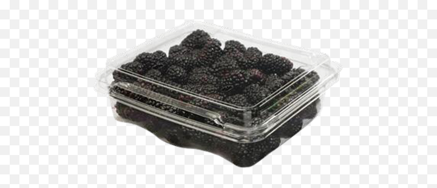 Dole Blackberries Hy - Vee Aisles Online Grocery Shopping Blackberries 6 Oz Png,Blackberries Png