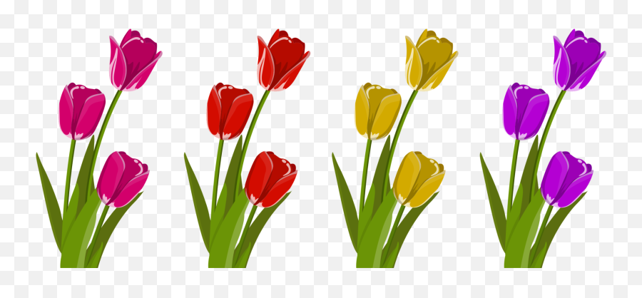 Plantflowermeadow Png Clipart - Royalty Free Svg Png Clipart Tulip Flower Svg,Meadow Png