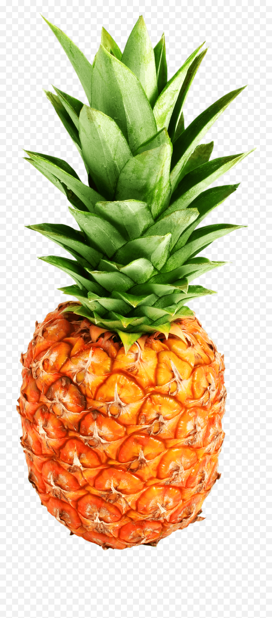 Pineapple Png Transparent Photo - Pineapple Transparent Background,Pineapple Transparent