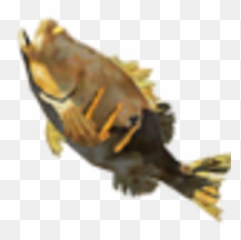 Roasted Bass - Fish png