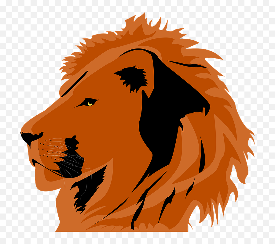 Lion Head Illustrations - Gambar Kepala Singa Betina Png,Lion Roaring Icon