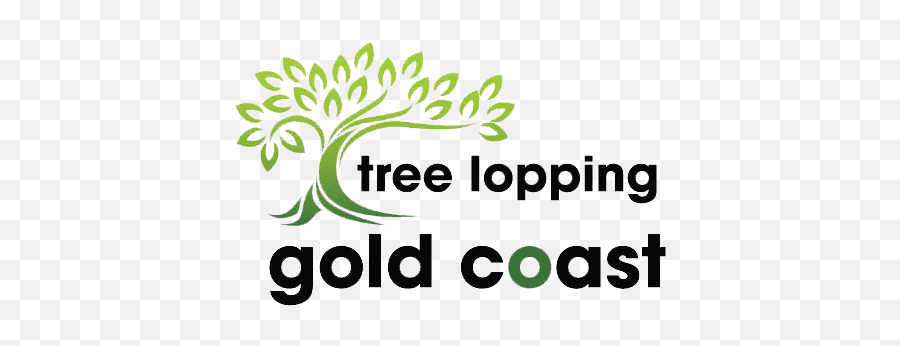 Tree Lopping Gold Coast - Seeds Of Hope Logo Png,Palm Tree Logo